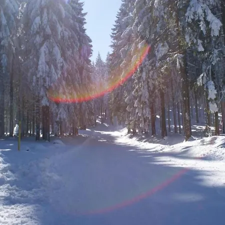 Apartamento Near Rennsteig, Cleaning Included