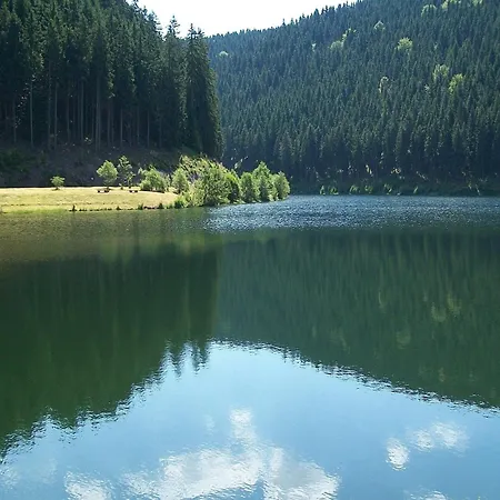 Near Rennsteig, Cleaning Included * Goldisthal