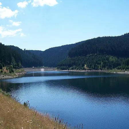 Near Rennsteig, Cleaning Included Apartamento