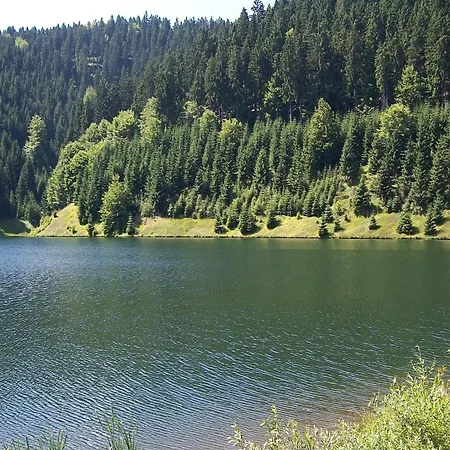 Near Rennsteig, Cleaning Included